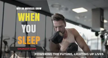 Sleep and Muscle Growth: Unlocking the Secrets of Overnight Recovery