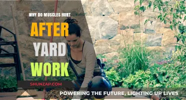 Why Yard Work Causes Muscle Pain: Understanding Post-Gardening Soreness