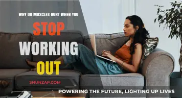 Why Muscles Ache When You Pause Your Workout Routine Explained