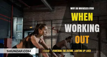 Why Muscles Itch During Workouts: Causes and Remedies Explained