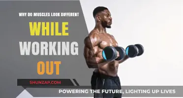 Muscle Transformation: Unveiling the Science Behind Workout Appearance Changes