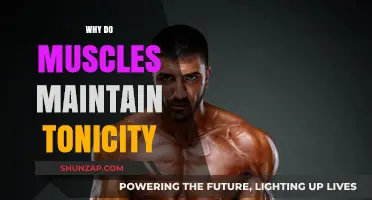 How Muscles Maintain Tonicity: The Science Behind It