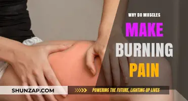 Why Muscles Burn: Understanding the Science Behind Exercise Pain