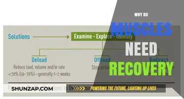 Muscle Recovery: Why It's Essential for Muscle Growth and Performance