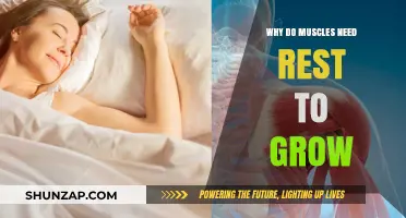 Muscle Growth Secrets: The Science Behind Rest and Recovery