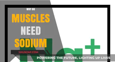 Muscle Function: Sodium's Vital Role
