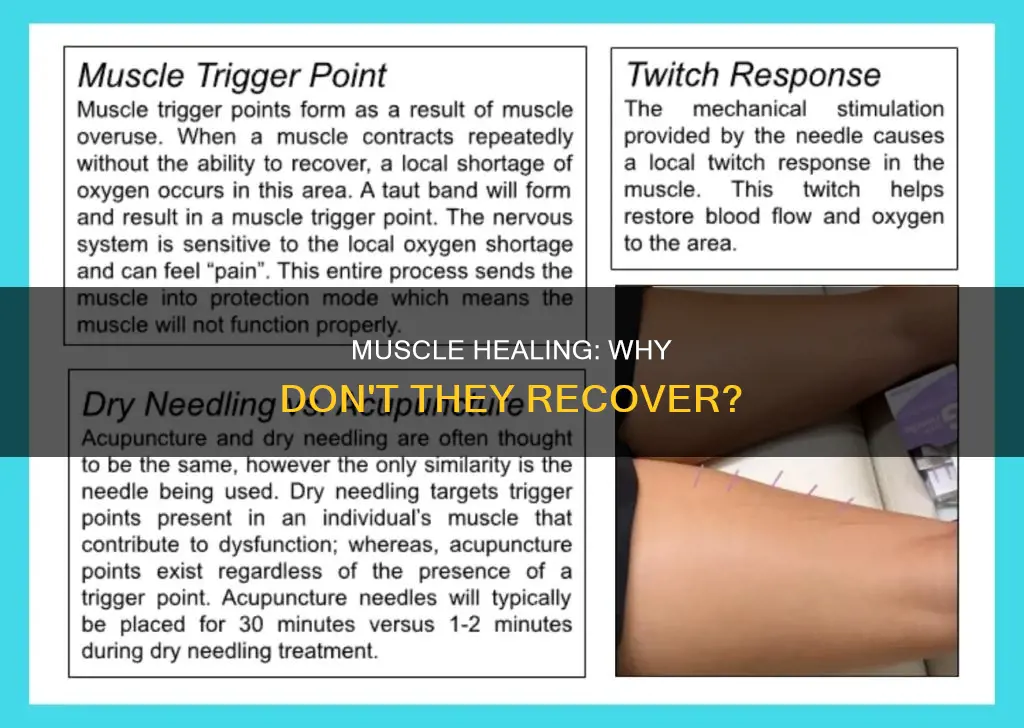 why do muscles noy heal