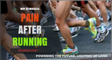 Why Muscles Ache Post-Run: Unraveling Delayed Onset Muscle Soreness