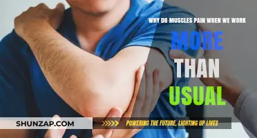 Unusual Workouts and Muscle Pain: Understanding the Causes and Remedies