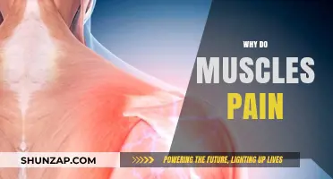 Understanding Muscle Pain: Causes, Prevention, and Effective Relief Strategies