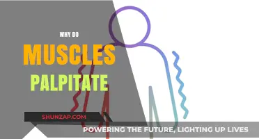 Muscle Twitches: Why Do They Happen?