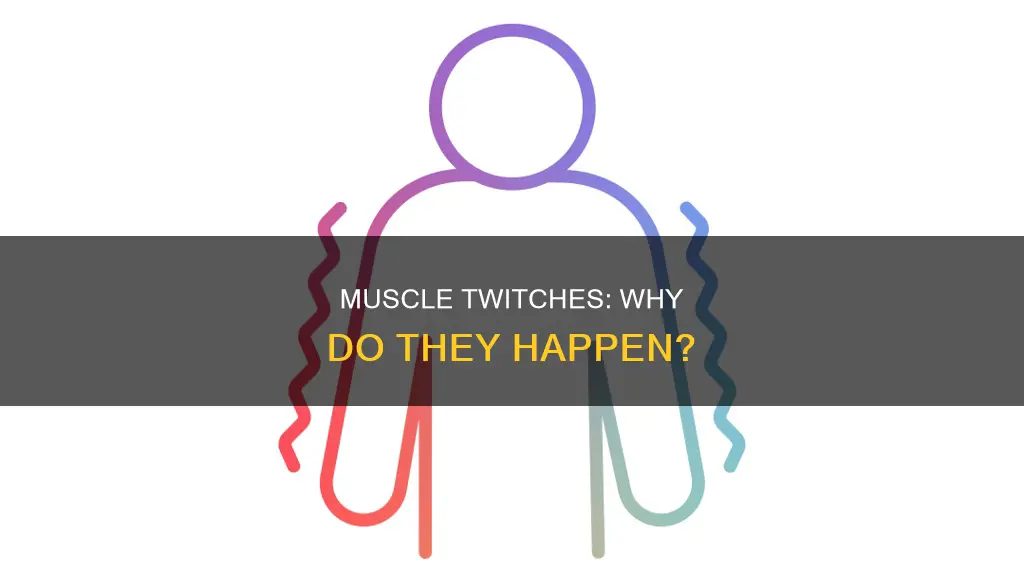 why do muscles palpitate