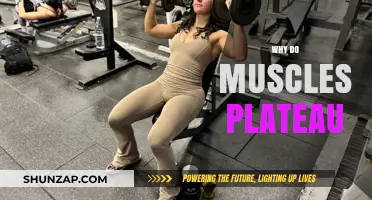 Understanding Muscle Plateau: Unlocking Your Fitness Potential