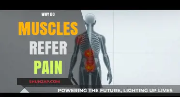 Why Muscles Refer Pain: Understanding the Science Behind It