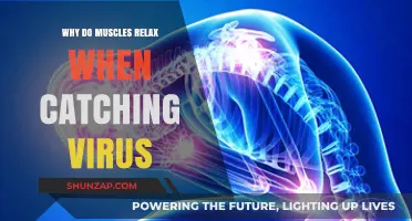 Why Viruses Cause Muscle Relaxation: Unraveling the Biological Mystery