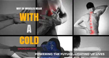 Chill Out: How Cold Therapy Relaxes Your Muscles Instantly