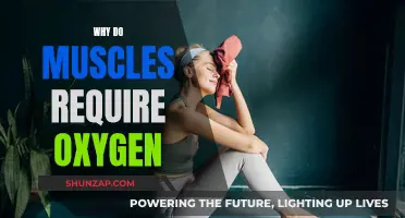 Oxygen's Role in Muscle Function and Performance