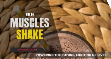 Understanding Muscle Shakes: Reasons Behind the Tremors