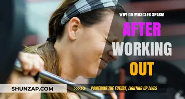 Post-Workout Muscle Spasms: Causes, Prevention, and Recovery Tips