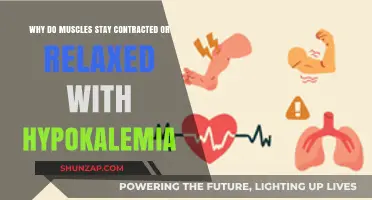 Hypokalemia's Impact: Why Muscles Stay Contracted or Relaxed