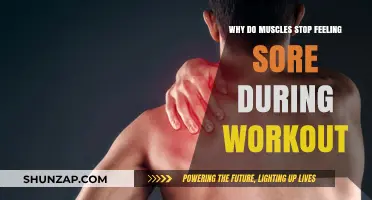 Why Muscles Stop Feeling Sore During Workouts: The Science Explained