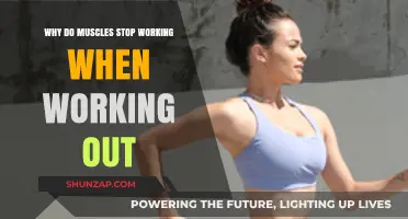 Muscle Fatigue Explained: Why Your Muscles Stop Working During Workouts