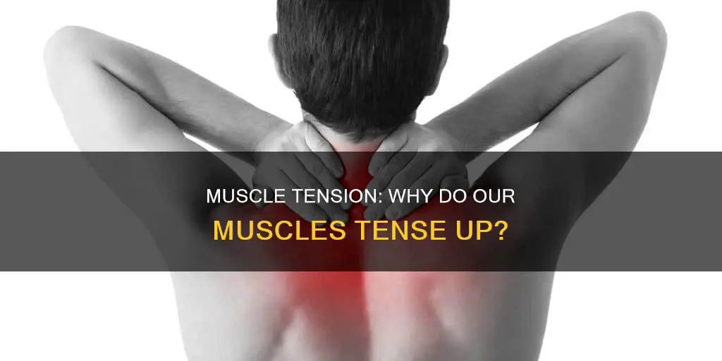 why do muscles tense up