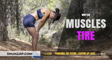 Muscle Fatigue: Understanding the Science Behind Tired Muscles