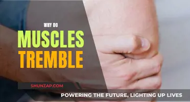 Understanding Muscle Tremors: Causes and Effects