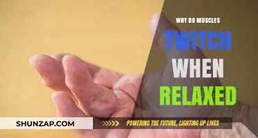 Understanding Involuntary Muscle Twitching During Relaxation: Causes and Insights
