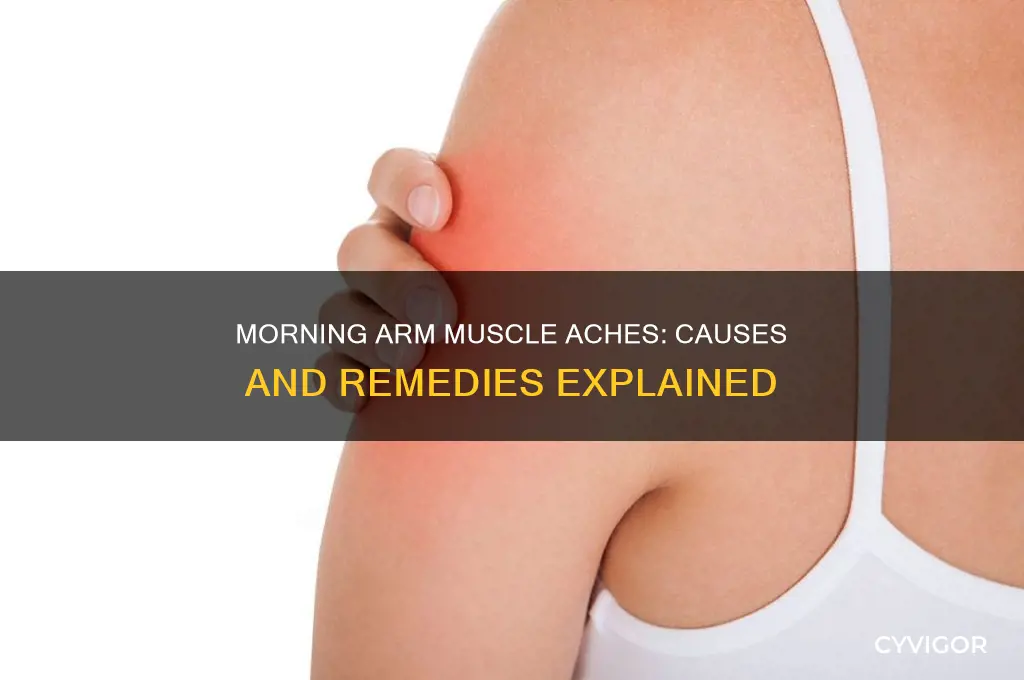 why do my arm muscles ache in the morning