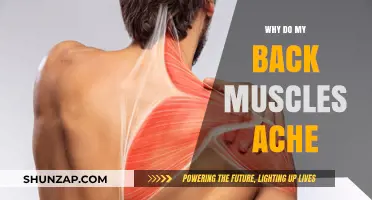 Unraveling the Mystery: Why Do My Back Muscles Ache?