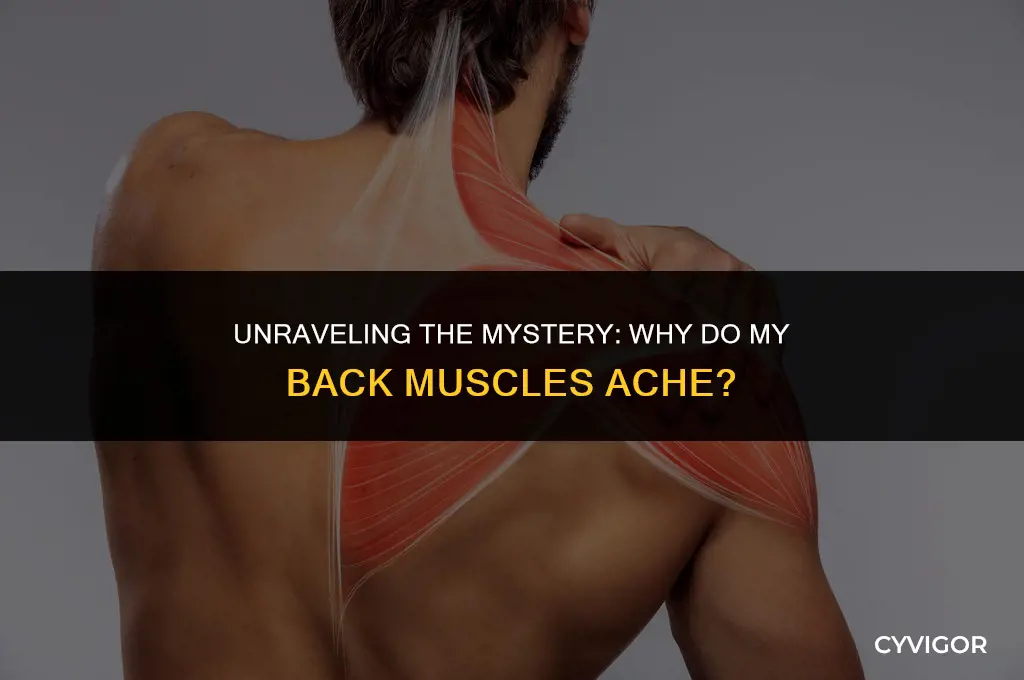 why do my back muscles ache
