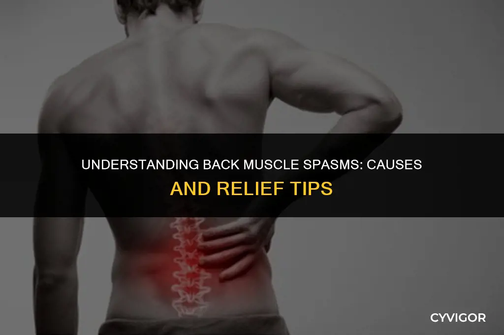 why do my back muscles spasm