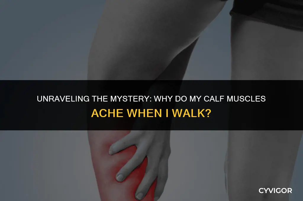 why do my calf muscles ache when i walk