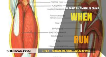 Unraveling the Mystery: Why Do My Calf Muscles Cramp When I Run?