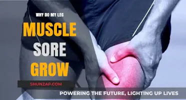 Why Leg Muscles Grow Sore: Causes, Recovery, and Prevention Tips