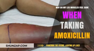 Amoxicillin and Leg Muscle Soreness: Unraveling the Unexpected Connection