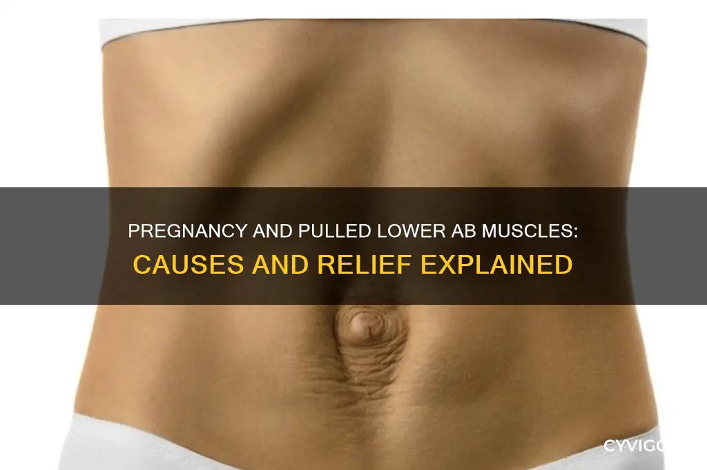 why do my lower ab muscles feel pulled pregnant