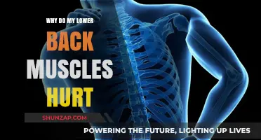 Unraveling the Mystery: Why Do My Lower Back Muscles Hurt?