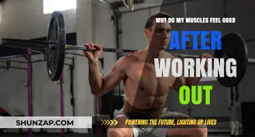 Post-Workout Bliss: Unraveling the Science Behind Muscle Satisfaction