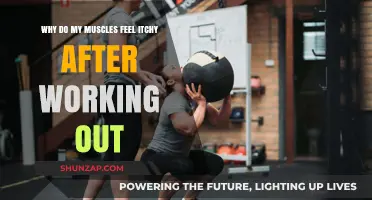 Post-Workout Itch: Understanding Muscle Itching After Exercise