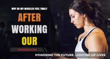 Tingly Muscles Post-Workout: Causes and What It Means for Recovery