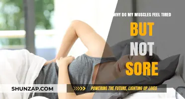 Muscle Fatigue Without Soreness: Understanding Tiredness Without Pain