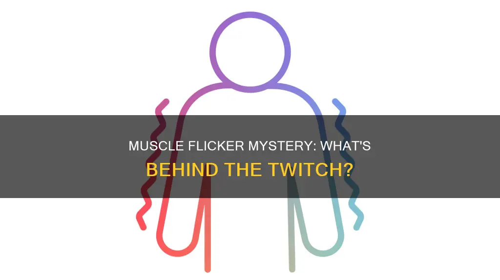 why do my muscles flicker