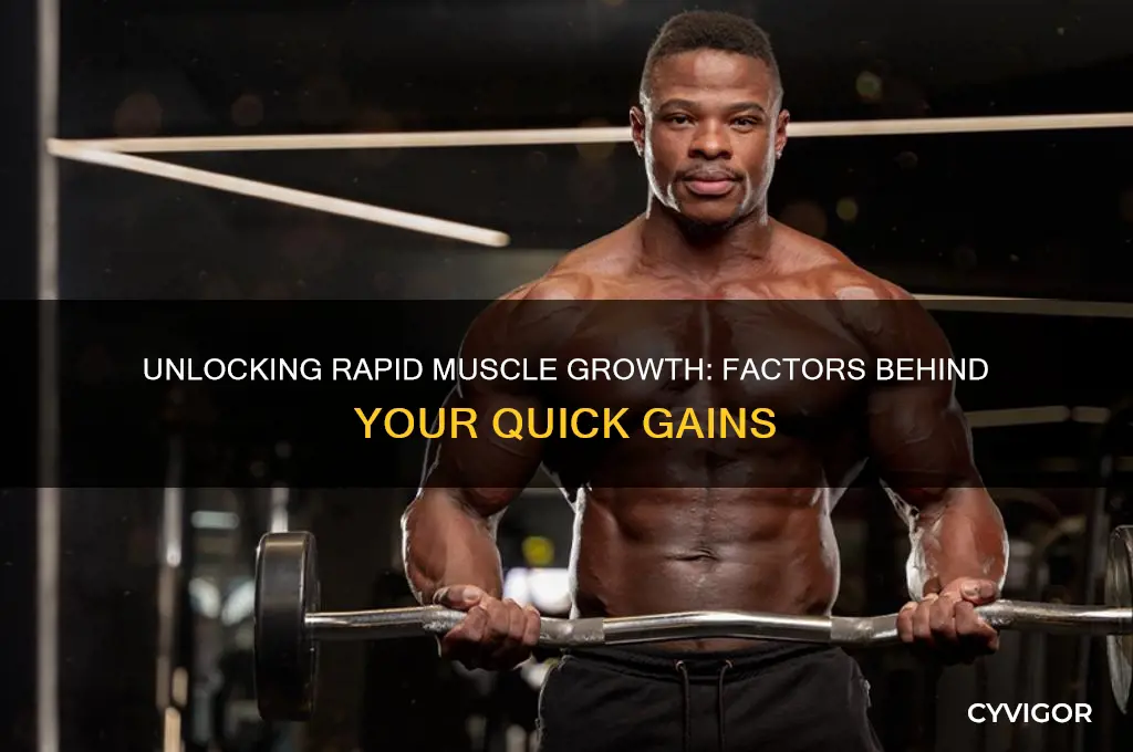 why do my muscles grow fast