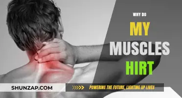 Understanding Muscle Soreness: Why Do My Muscles Hurt?