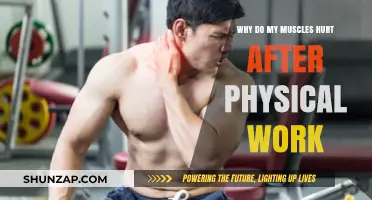 Why Muscles Ache After Physical Work: Understanding Delayed Onset Muscle Soreness