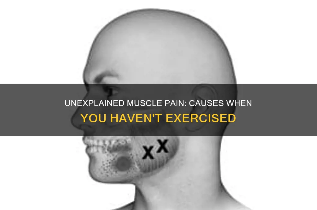 why do my muscles hurt when i haven