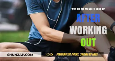 Post-Workout Muscle Lockups: Causes and Prevention Strategies Explained